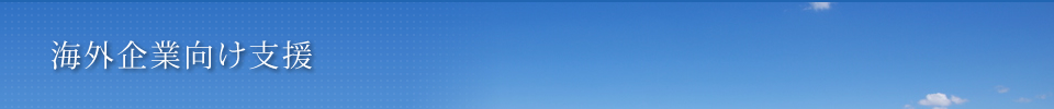 海外企業向け支援